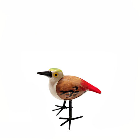 Troostvogel bruine vleugels