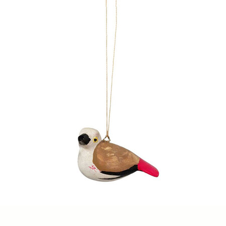 Troostvogel hangend rode staart