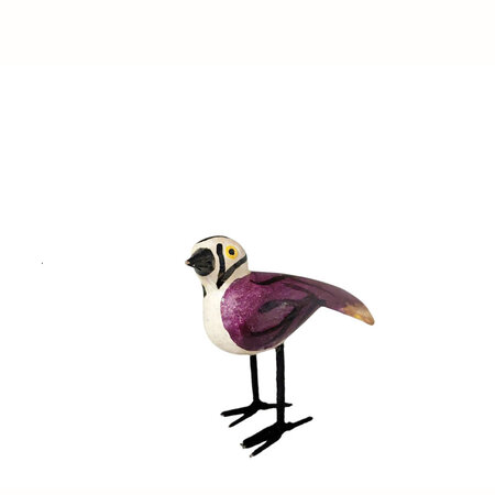 Troostvogel wit hoofd