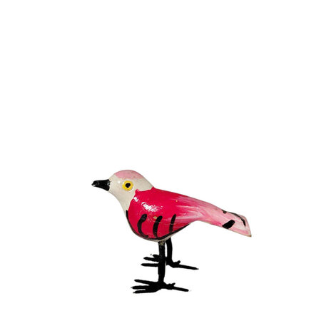 Troostvogel rood strepen