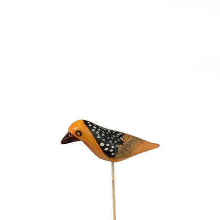 Troostvogel op een stok