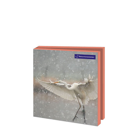 Kerstkaartenmapje Fotografie