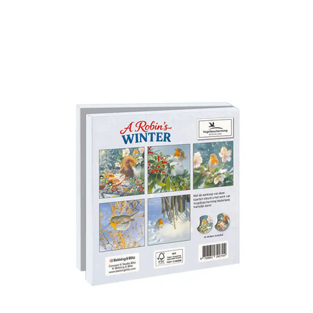 Kerstkaartenmapje A robins winter