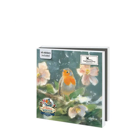 Kerstkaartenmapje A robins winter