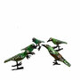 Troostvogel groen S (8) per stuk