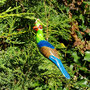 Troostvogel hout M blauw oranje 