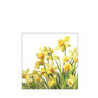 Servetten Classic Daffodils