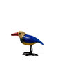 Troostvogel M blauw geel