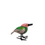 Troostvogel M groen roze