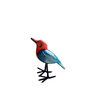 Troostvogel M blauw rood