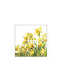 Servetten Golden daffodils klein