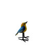 Troostvogel S blauw geel