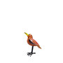 Troostvogel L oranje