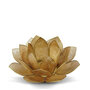 Lotus L gold