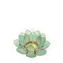 Lotus S zeegroen