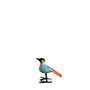 Troostvogel S blauw wit