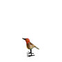 Troostvogel M rood hoofd