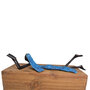 Lezende vrouw in blauw