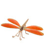 Libelle oranje