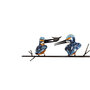 Ijsvogels op een pin
