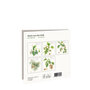 Kaartenmapje Bomen