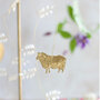 Hanger schaap