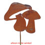 Paddenstoelen eco roest