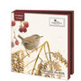 Birds in the winter